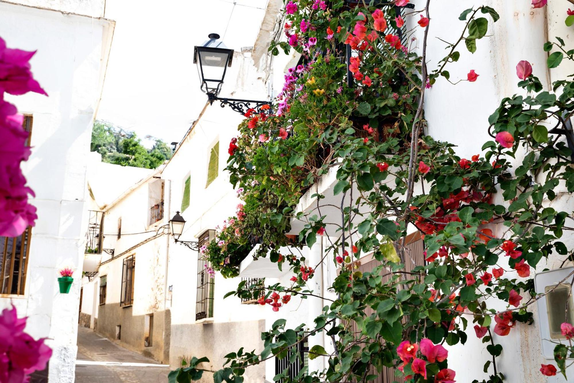 Alpujarra Relax Carataunas Eksteriør billede